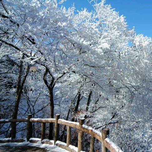 漫天飞雪