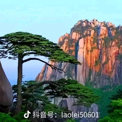 @福星髙照