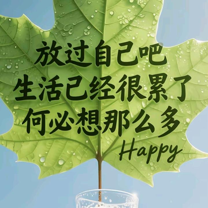 平平淡淡才是真