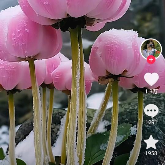 知足常乐