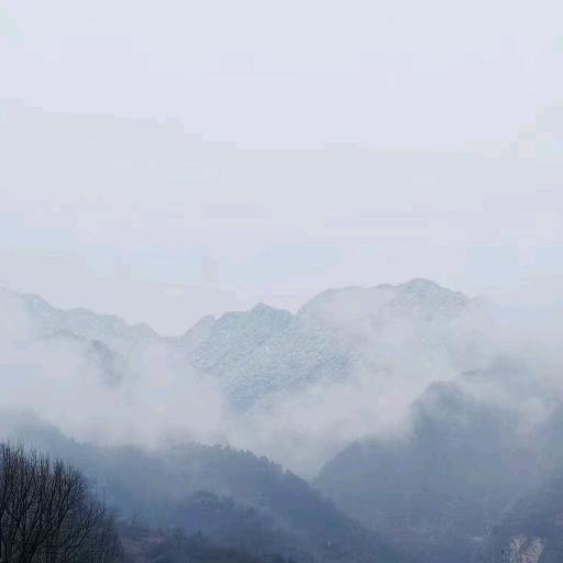 儒豹