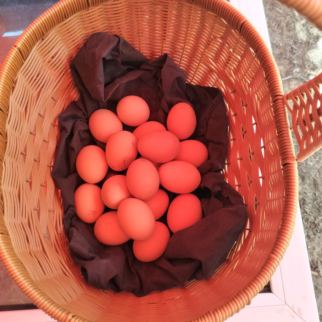 小李家农场