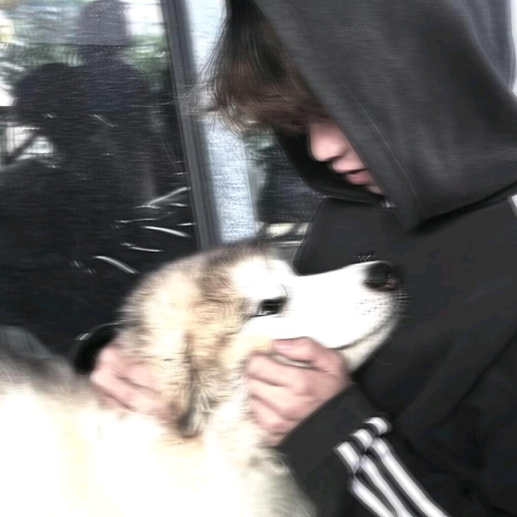 小汪碎冰冰ᵏᵃʳʳʸ.🐼
