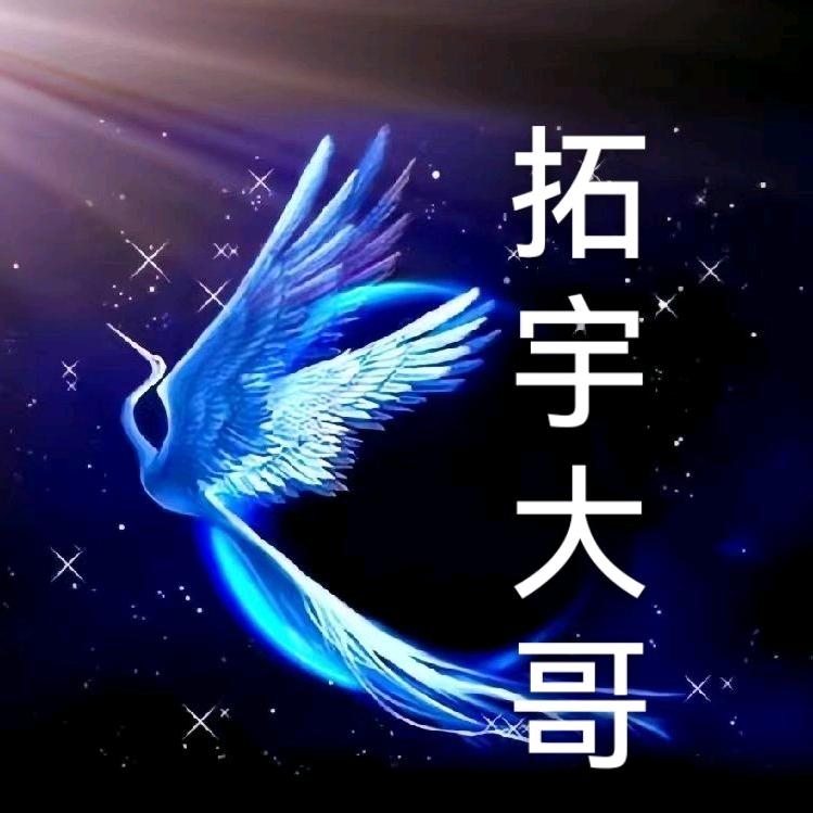 拓宇大哥