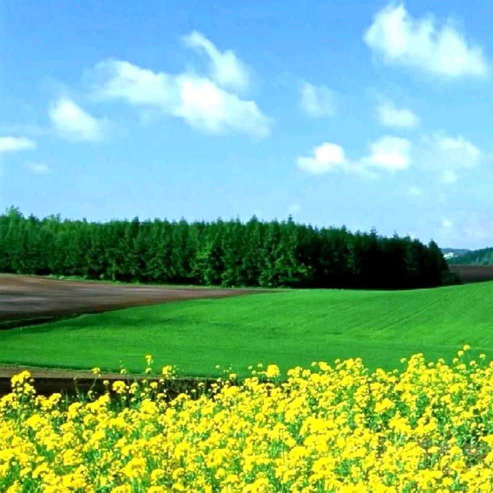 @淡定