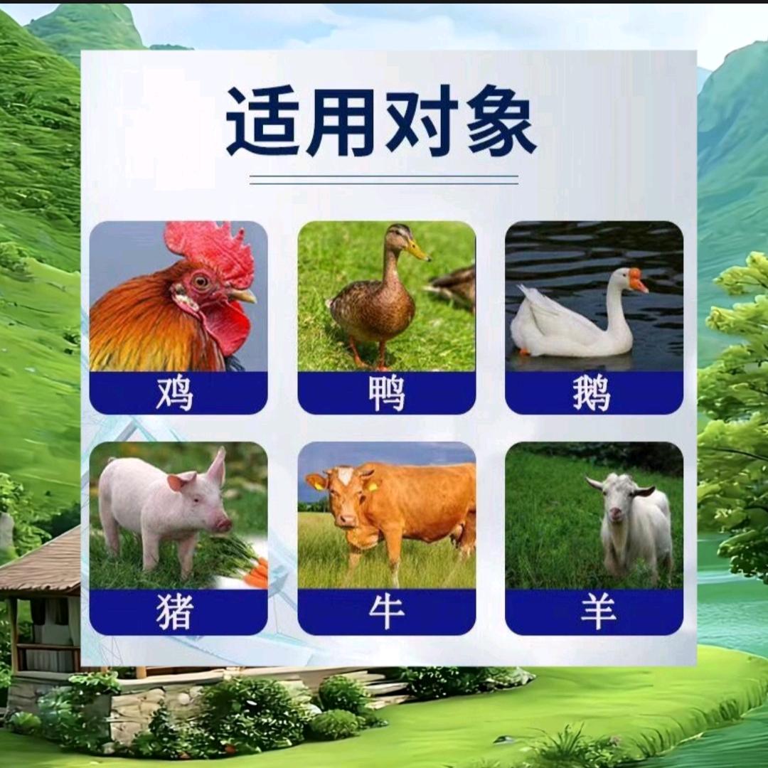 家禽养殖优品