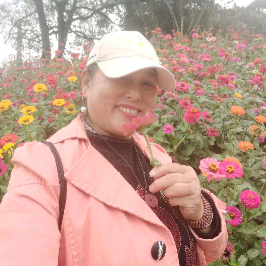杨红