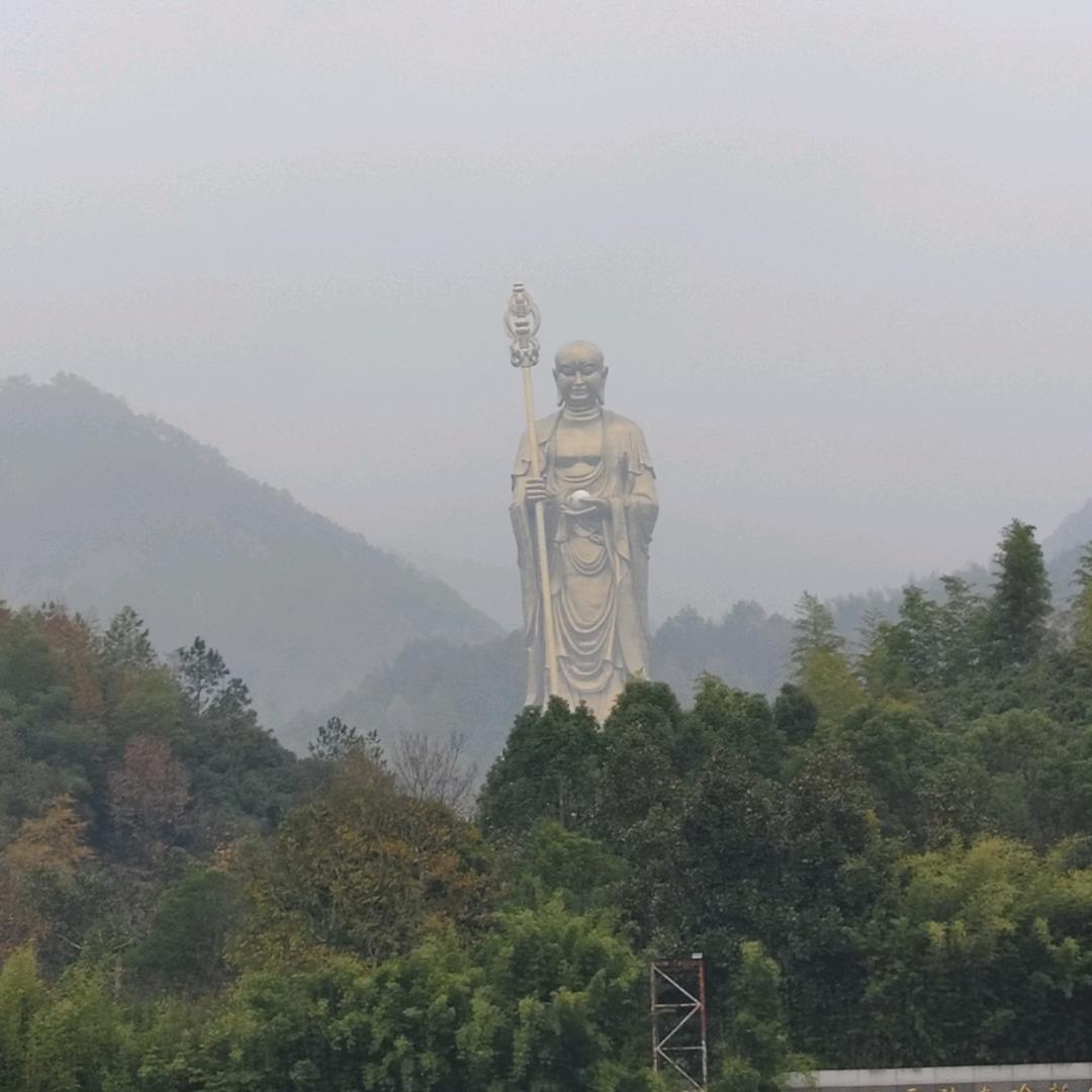 云中鹤