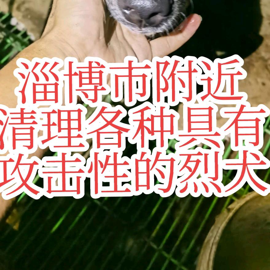 邢小硕😋