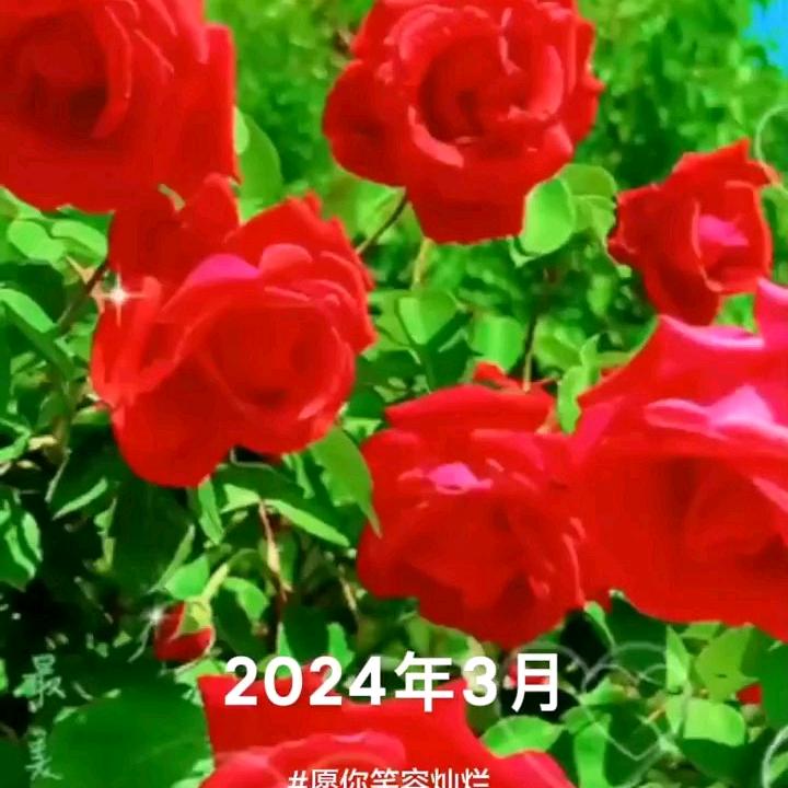 英