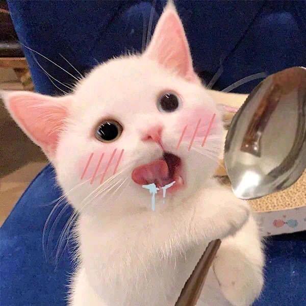 🌈🃏：断词