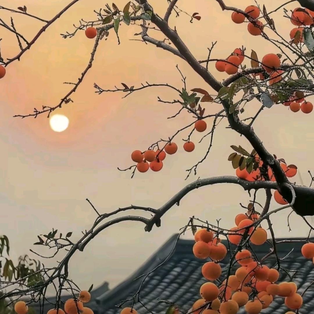咖啡@