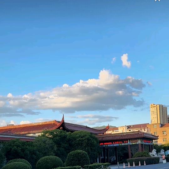 搁浅🍂