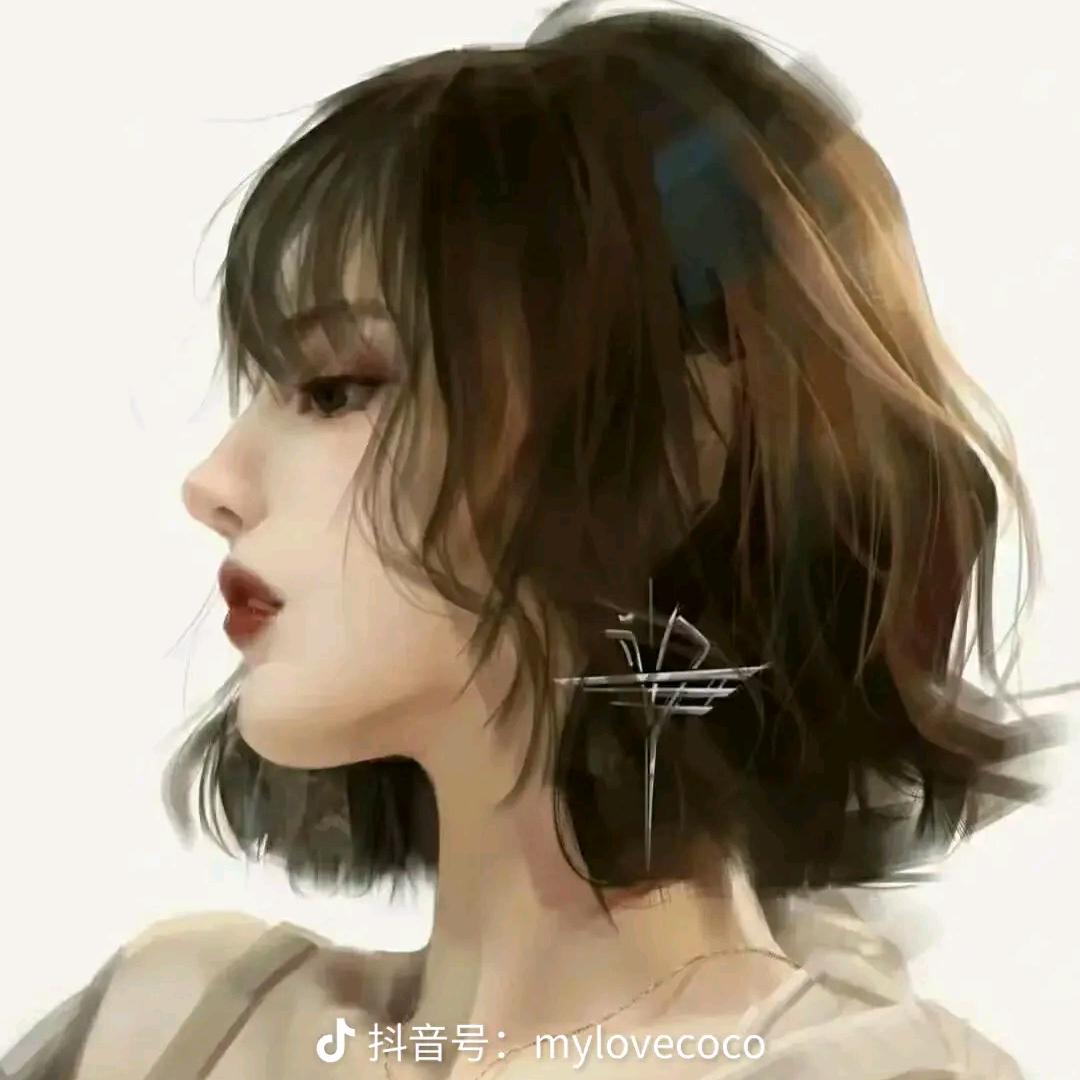 帅帅猪