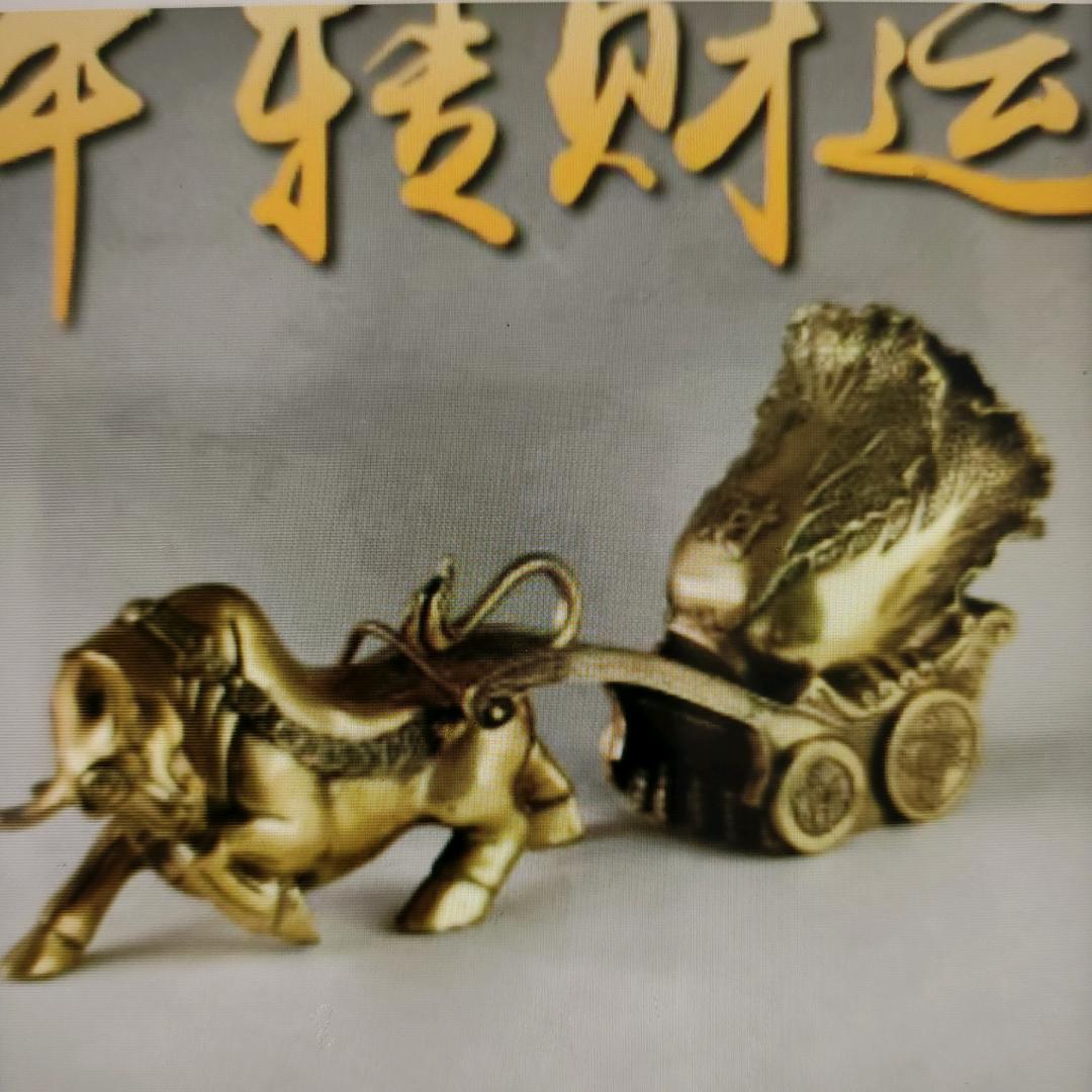 商丘星光闪闪(媒婆)