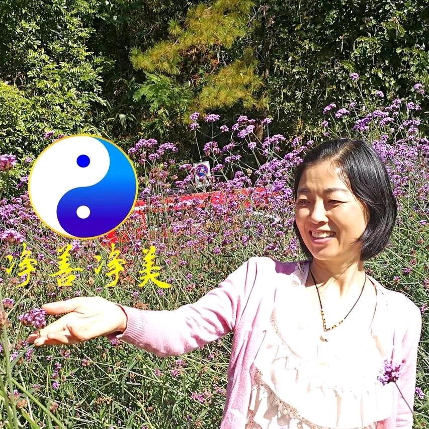 净善净美的太极生活
