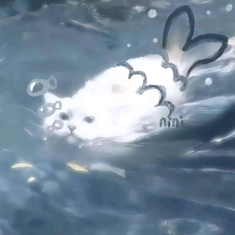 张小葵～