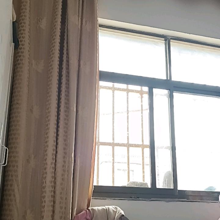 平安快乐