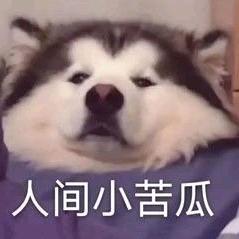 山＊浪