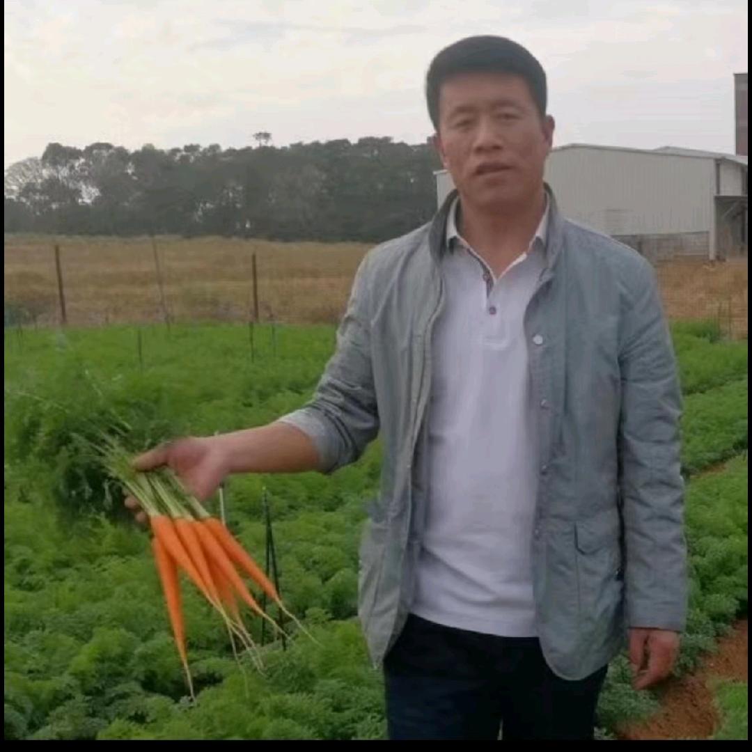 张金东（绿百丰农业）