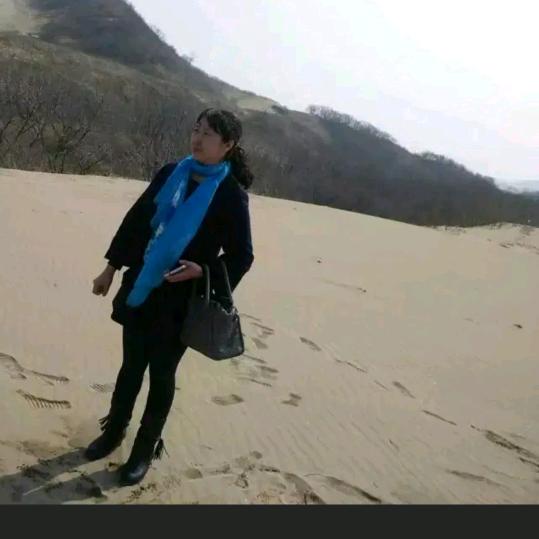 淡雅清荷630