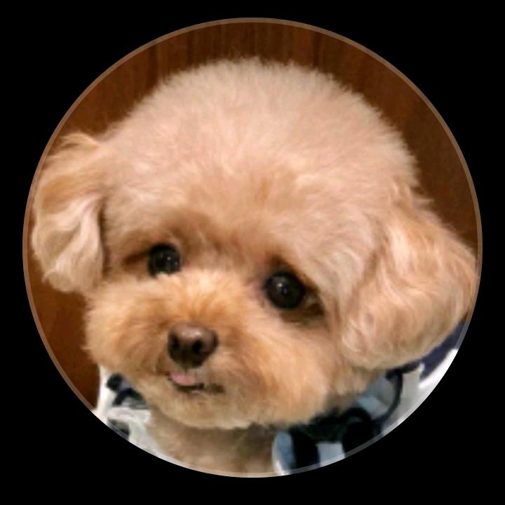 小孩哥