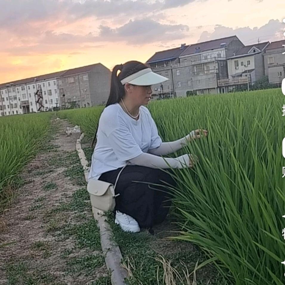 十年陈酿