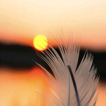 暖阳情感