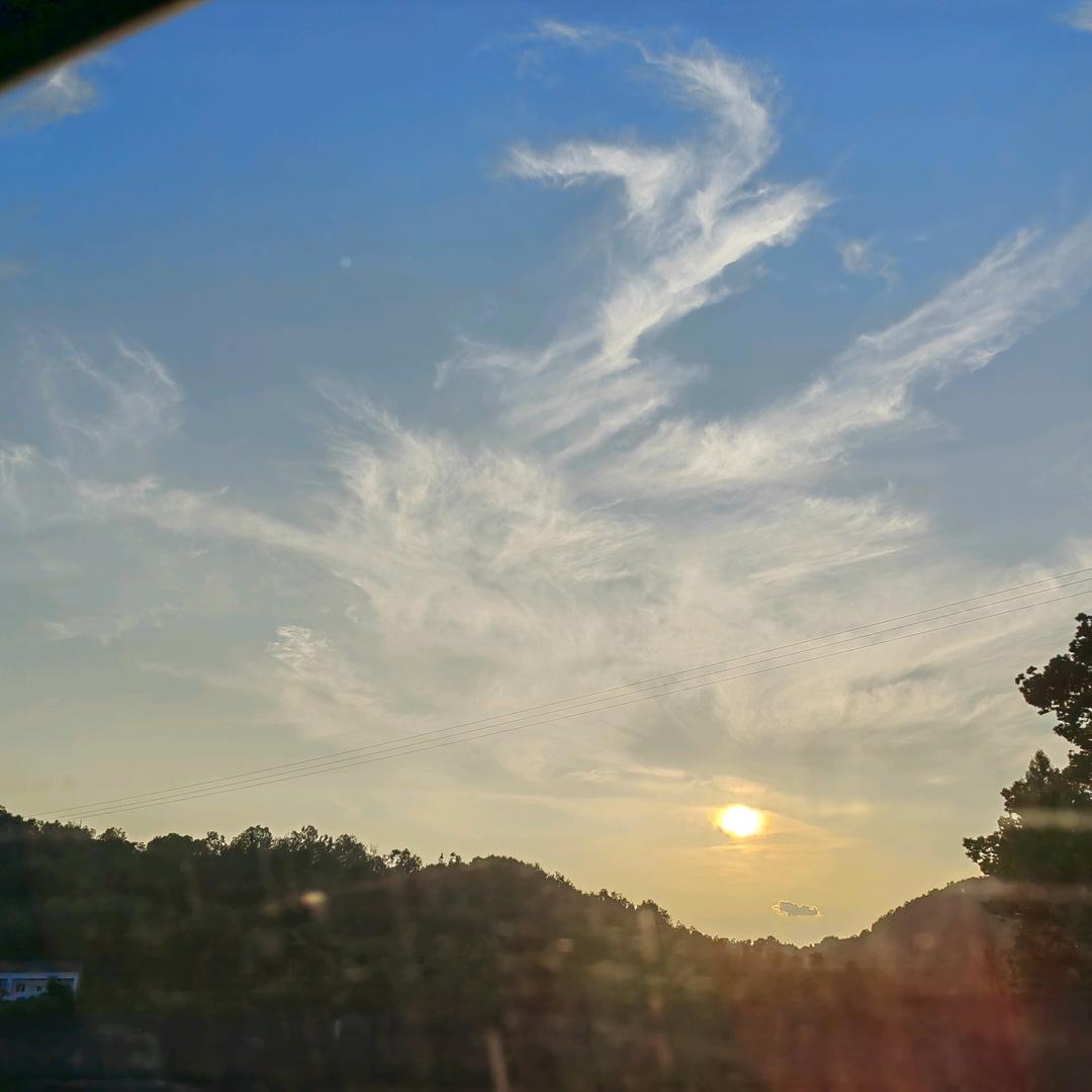 渔情
