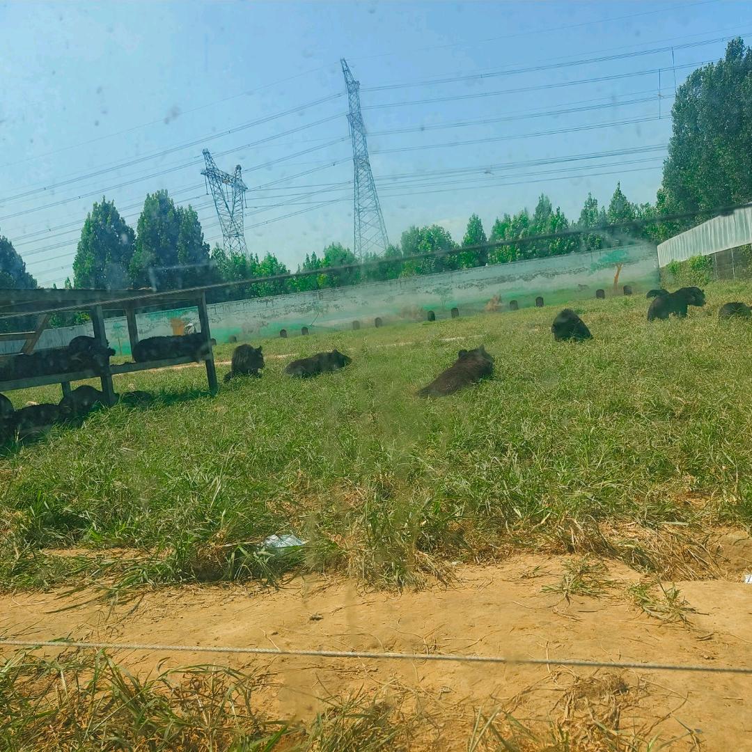 一起看太阳