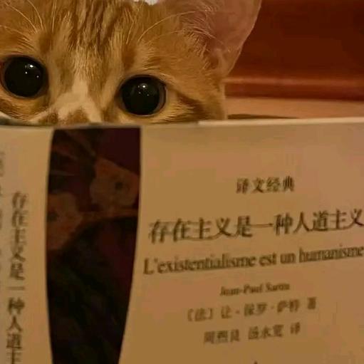 关迩.
