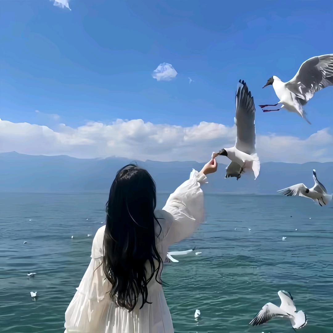 媛媛吖