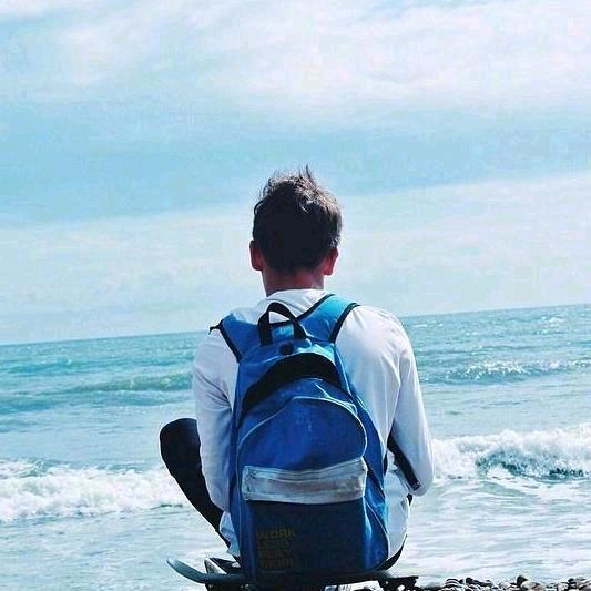 淮，南，李，总