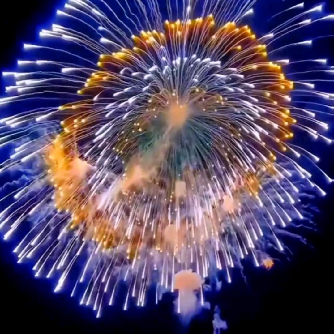 我的人生我做主