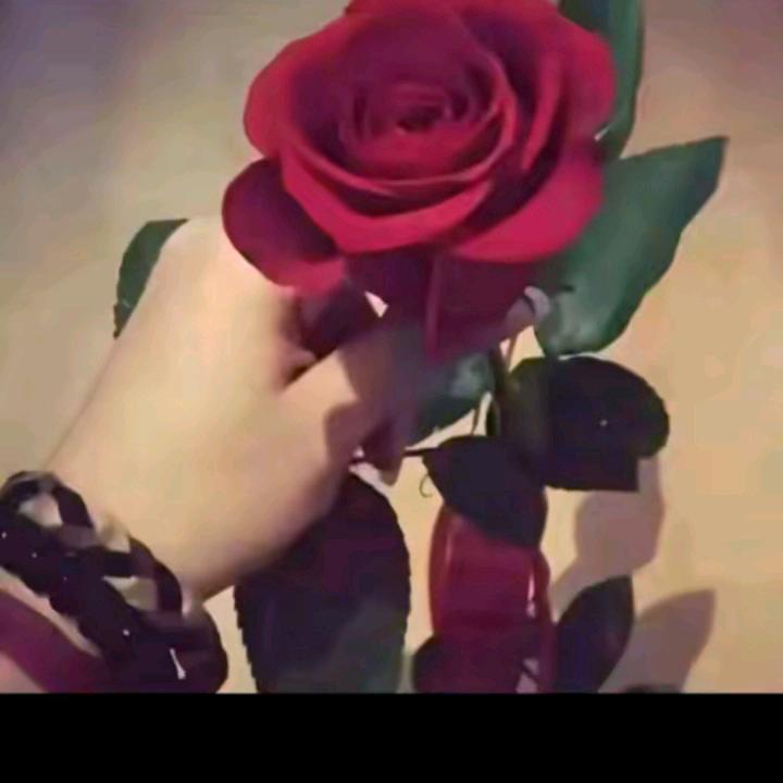 可爱❤