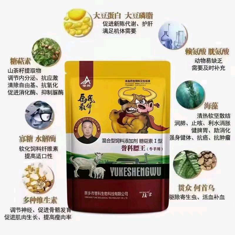 誉科膘王厂家苗娜