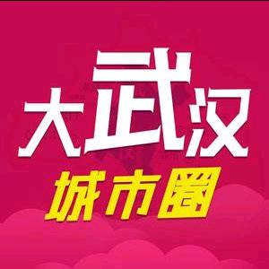 大武汉城市圈