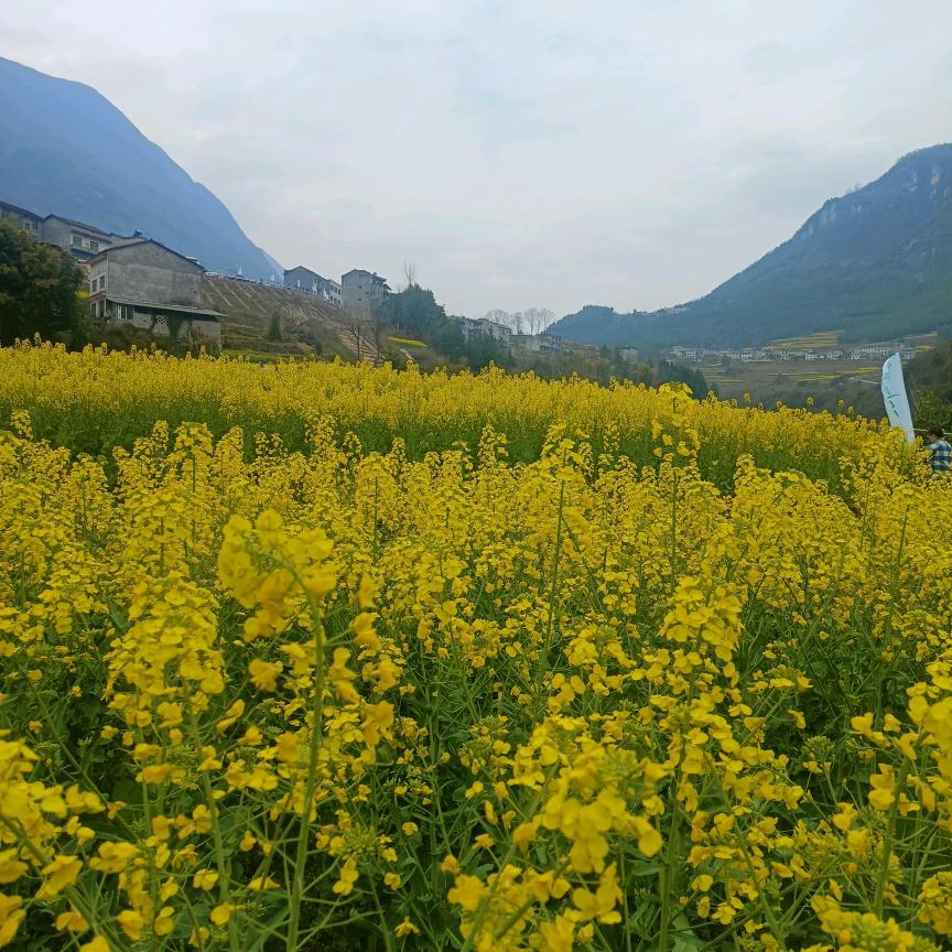 傲慢