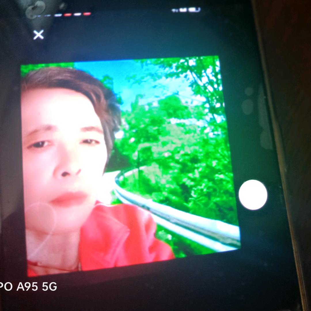 英子周二晚上8.10