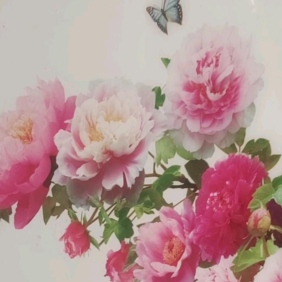 赵改焕