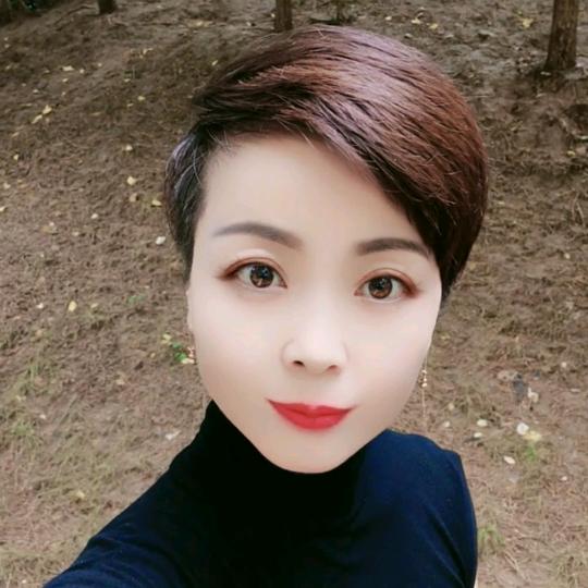 情感语录