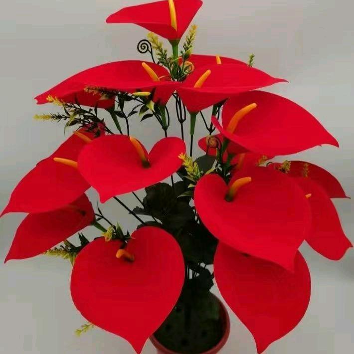 顺其❤自然