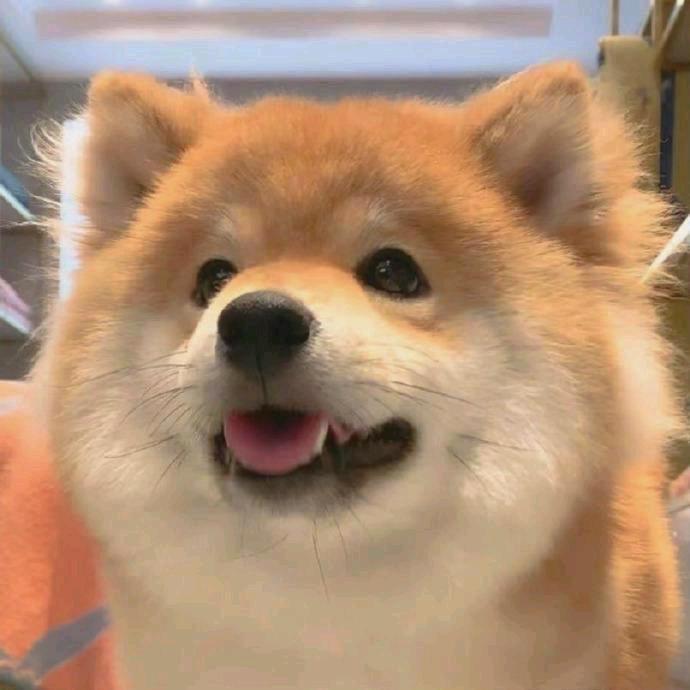 一只梨