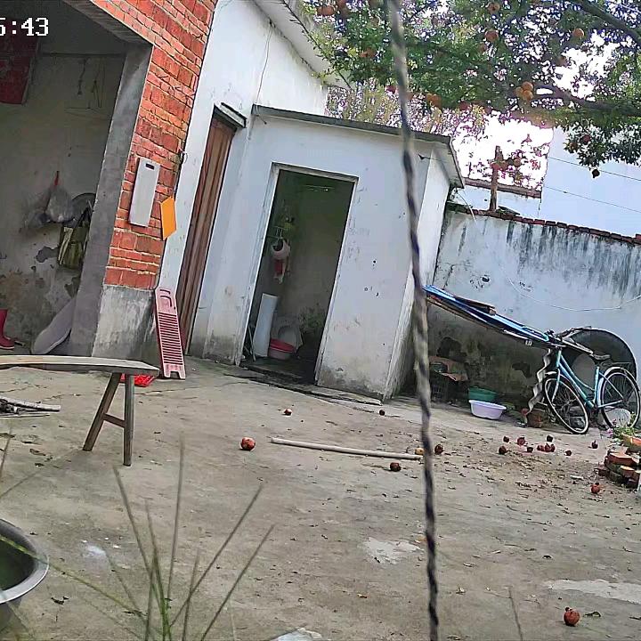 杨文来