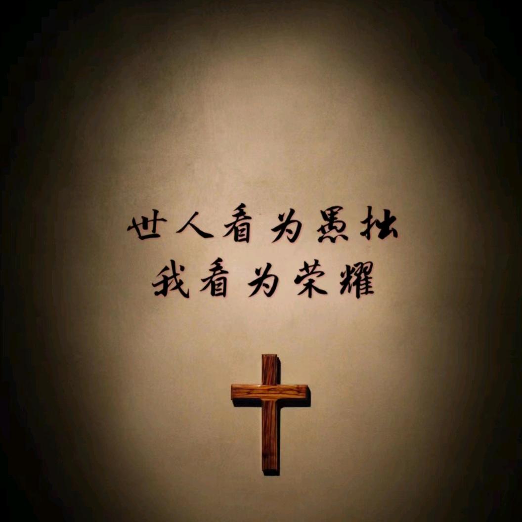 随心所欲