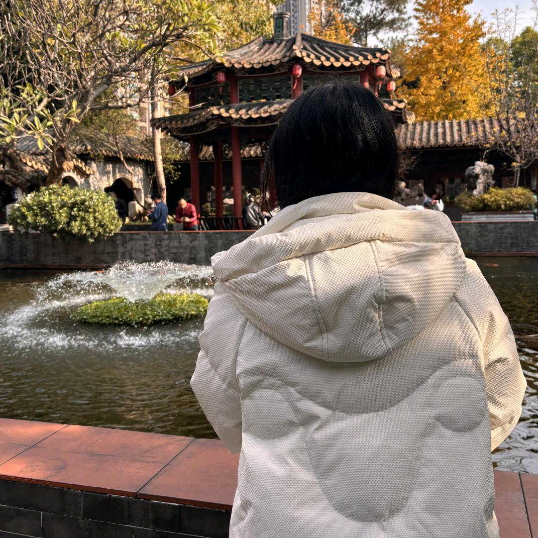 安静的胖大海