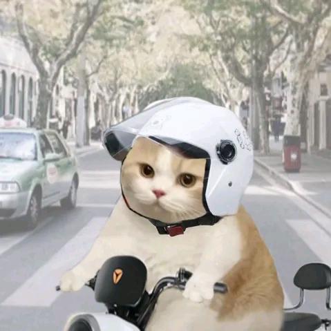 柠檬•不萌