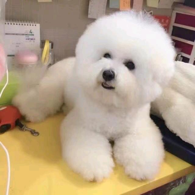 癸酉