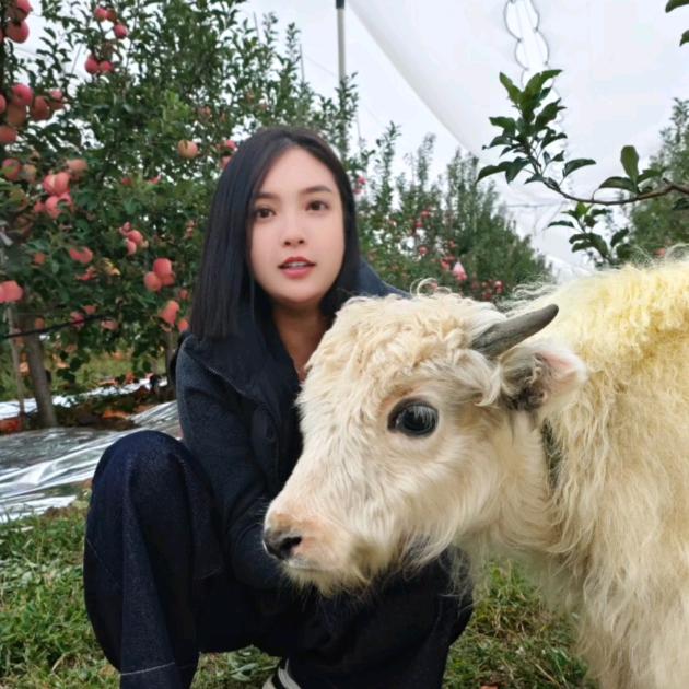 山中牛妞