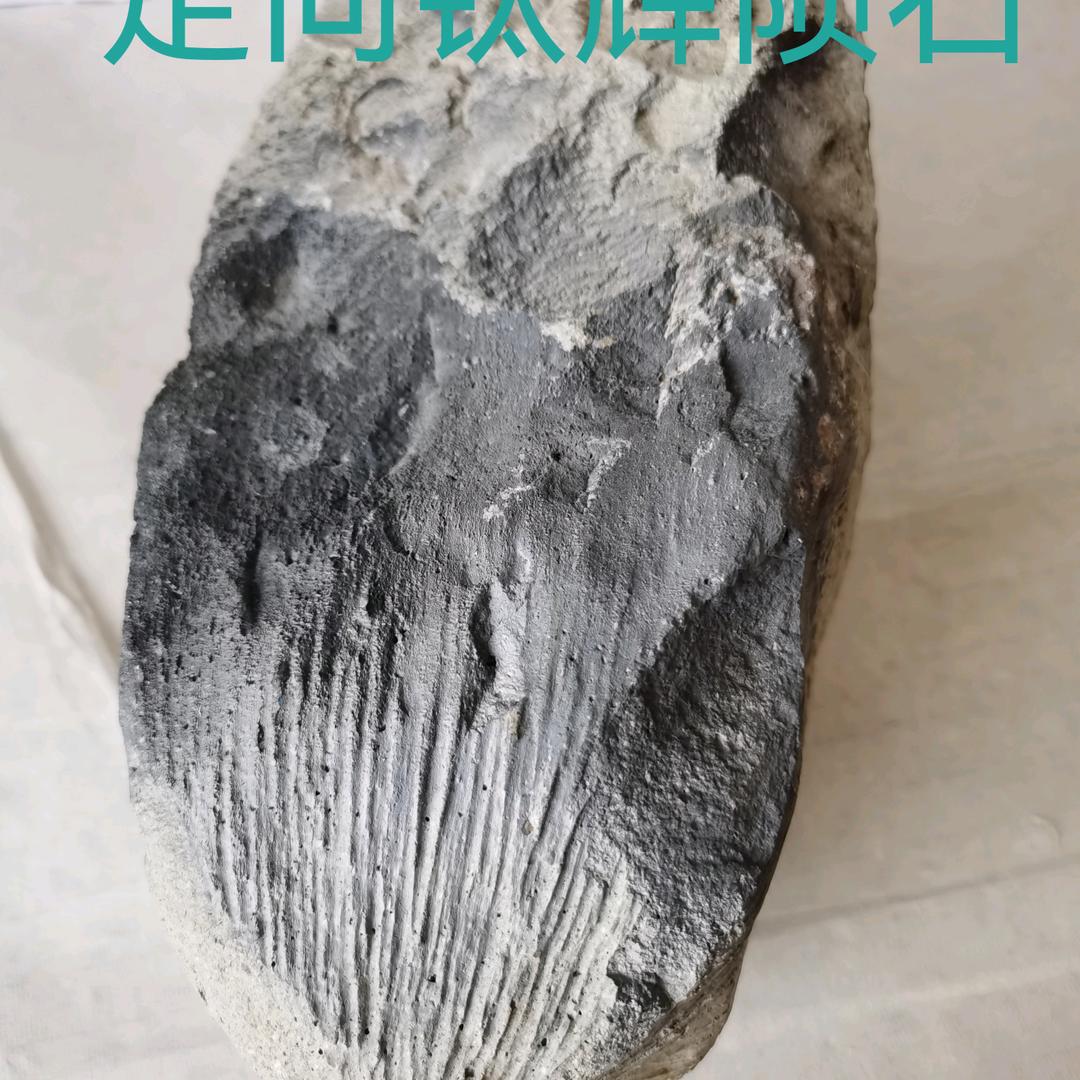 定向陨石标准之父
